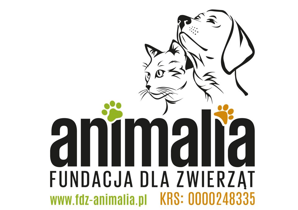 Poznajcie bliżej Fundację dla Zwierząt “Animalia”!